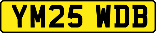 YM25WDB