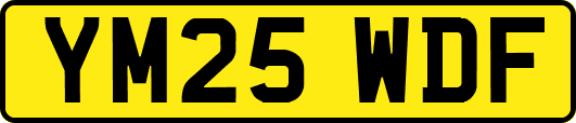 YM25WDF