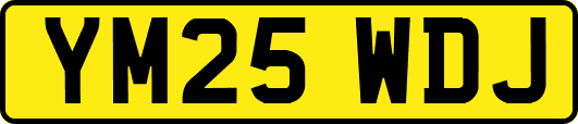 YM25WDJ