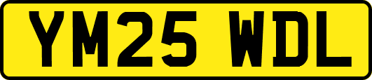 YM25WDL