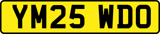 YM25WDO