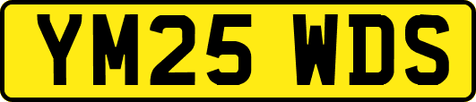 YM25WDS