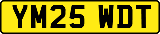 YM25WDT