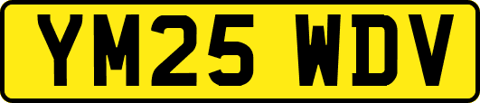 YM25WDV