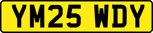 YM25WDY