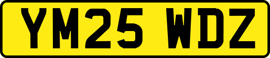 YM25WDZ