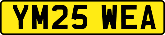 YM25WEA