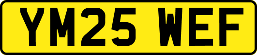 YM25WEF