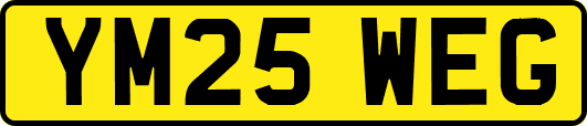 YM25WEG