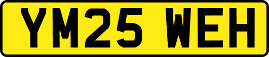 YM25WEH
