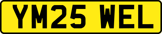 YM25WEL