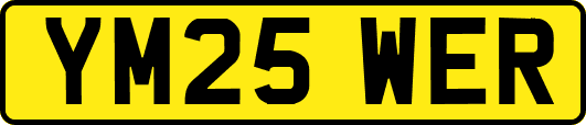 YM25WER