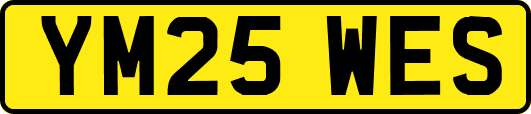 YM25WES