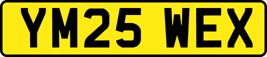 YM25WEX
