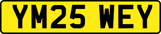 YM25WEY