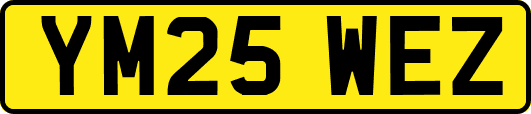 YM25WEZ