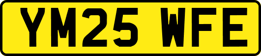 YM25WFE