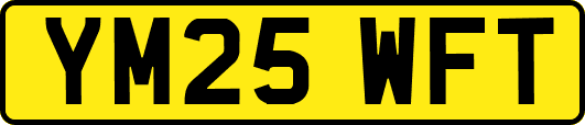 YM25WFT