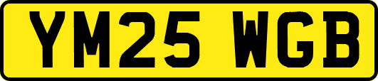 YM25WGB