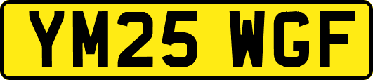 YM25WGF
