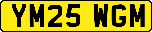 YM25WGM