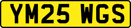 YM25WGS