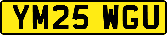 YM25WGU