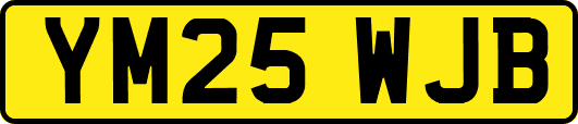YM25WJB