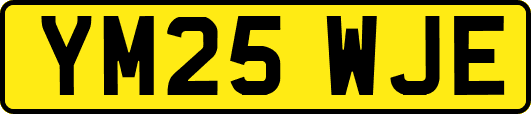 YM25WJE