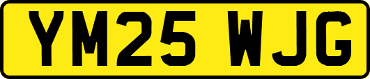 YM25WJG