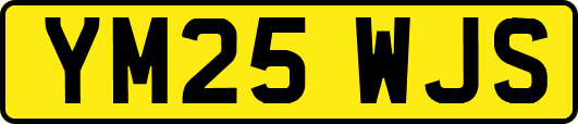 YM25WJS