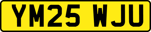 YM25WJU
