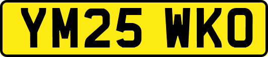 YM25WKO