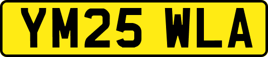 YM25WLA