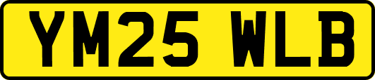 YM25WLB