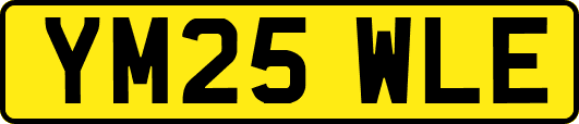 YM25WLE