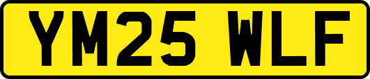 YM25WLF