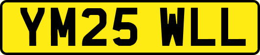 YM25WLL