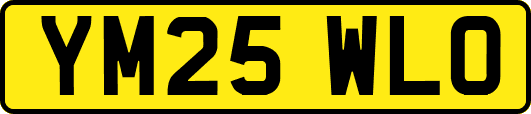 YM25WLO