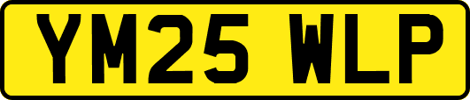 YM25WLP
