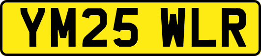 YM25WLR