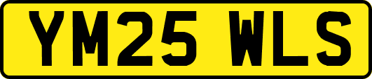 YM25WLS