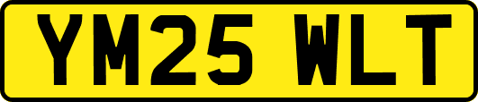 YM25WLT