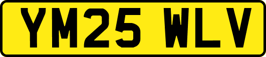 YM25WLV