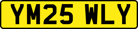 YM25WLY