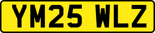YM25WLZ