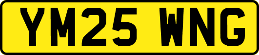 YM25WNG