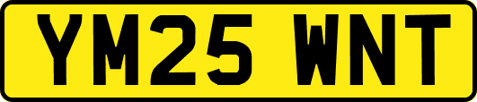YM25WNT