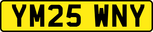 YM25WNY