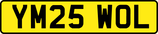 YM25WOL